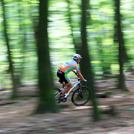 Chalet Op De Veluwe # Linde Putten Extérieur photo