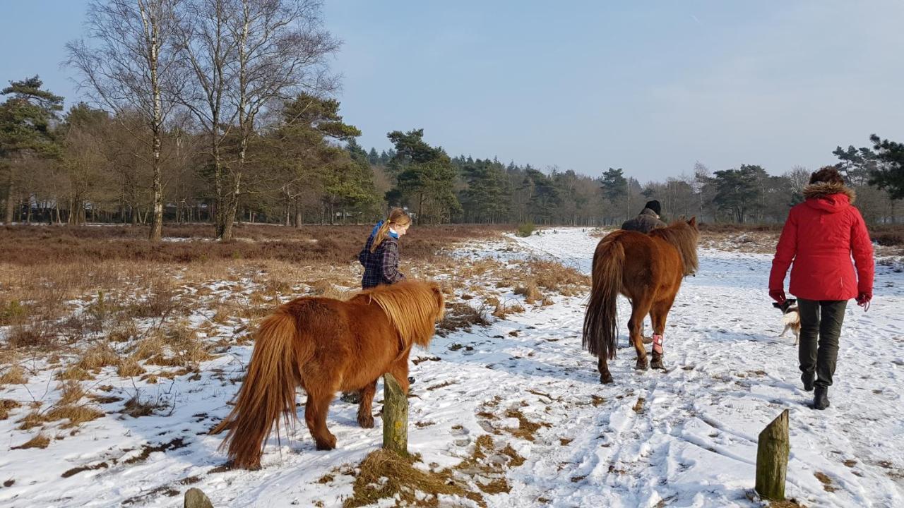 Chalet Op De Veluwe # Linde Putten Extérieur photo