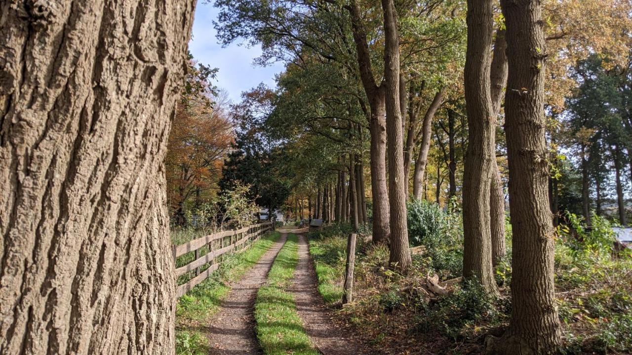Chalet Op De Veluwe # Linde Putten Extérieur photo