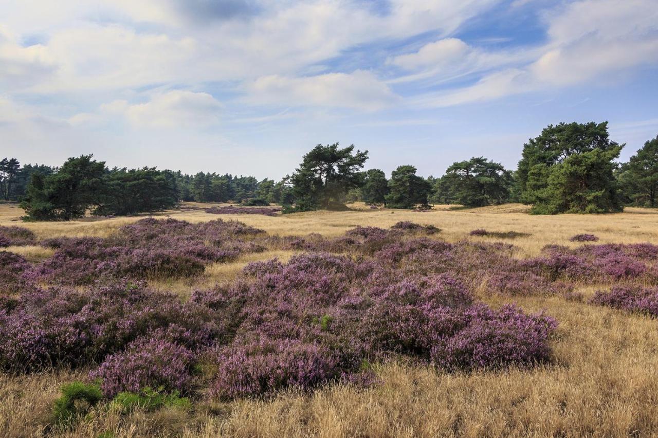 Chalet Op De Veluwe # Linde Putten Extérieur photo